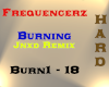 Frequencerz - Burning