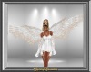 Anim White Angel Wings