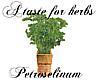 Herbs: Petroselinum