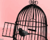 Bird Cage 15 Pose - Ink