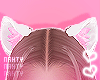 Kitty White Ears
