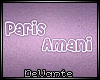 !D Custom Paris Sign