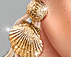 Sea Shell Earrings Gold