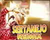 *LH* Remix Sertanejo