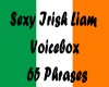 Sexy Irish Liam Voicebox