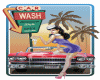 Car Wash Wall