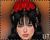 Bundle Fiesta Mexico -F-