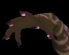 Callie claws