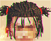 Monsta Locs