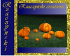 Halloween Pumpkin Patch