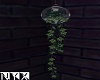 Glass Globe Ivy