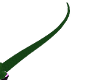 Lizard tail