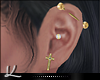 🅺 Cross Peircings (L)