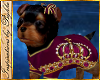 I~Royal Yorkie*Rose*