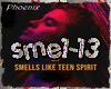 [Mix] Smells Like Teen S