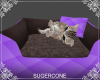 [SC] Cat Bed ~ Lilac