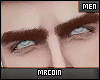 🔻Kurt Eyebrow MH