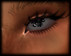 oil spill