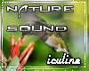 Nature Sound 🍁