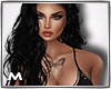 Summer Bundle