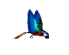 tropical parrot animated