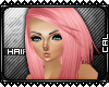 [c] Hair: Priscilla