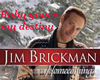JIM BRICKMAN-BABY YOUR..
