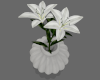 193 Derivable Lillies