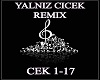 YALNIZ CICEK REMIX !!!