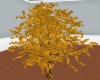 Fall Tree