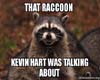 Kevin Hart Raccoon-WN?