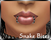 *LMB* Blk&Slvr Snake Bts