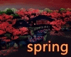 [CY] SPRING BLOSSOME