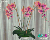 Orchid Flowerpot Decor