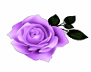 Lilac Rose Dance Marker