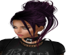 Zari Smokey Purple