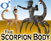 Scorpion Body -Male