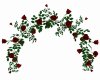 SA- Arco Rosas Vermelha