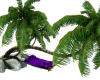 *Palms/Hammock Purple
