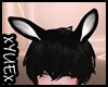 *Y* Black Bunny Ears
