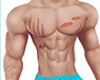 Scratch Marks