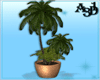 A3D* Plant Palms
