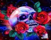 Skulls and Roses M