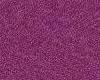 Lavender Purple Carpet