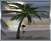 palm tree kiss