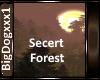 [BD]SecretForest