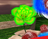 (Fe)Green rose