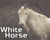 White Wedding HORSE
