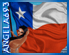 [AA]Flag Poses Chile