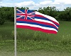 Animated Hawaii Flag